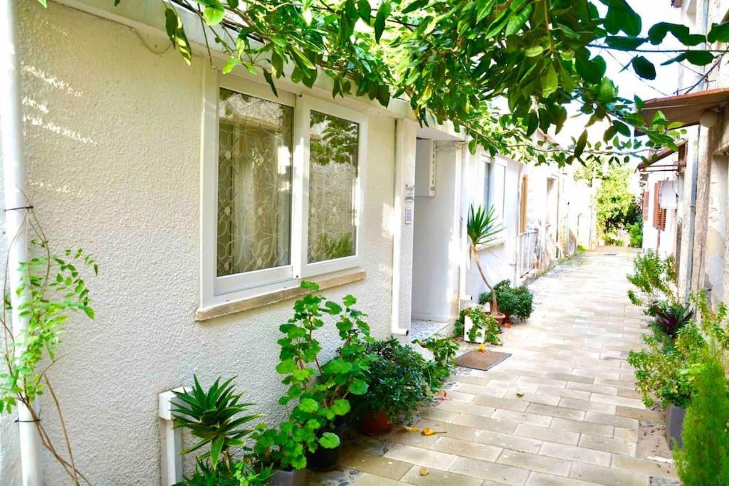 Templar Guesthouse فاماغوستا المظهر الخارجي الصورة